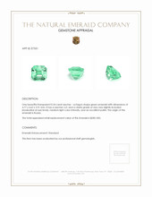 0.54 Ct. Emerald from Russia Appraisal