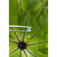 0.54 Ct. Emerald from Russia Life Style