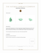 0.71 Ct. Emerald from Russia Appraisal