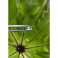 0.54 Ct. Emerald from Russia Life Style