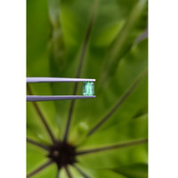0.57 Ct. Emerald from Russia Life Style