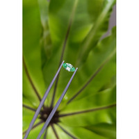 0.62 Ct. Emerald from Russia Life Style