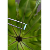 0.59 Ct. Emerald from Russia Life Style