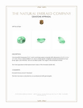 0.67 Ct. Emerald from Russia Appraisal