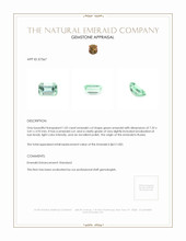 1.02 Ct. Emerald from Russia Appraisal