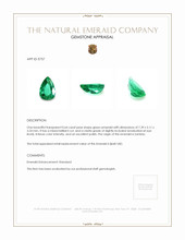 0.64 Ct. Emerald from Zambia Appraisal