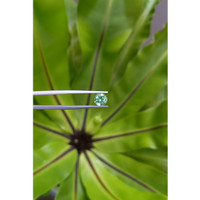 1.18 Ct. Emerald from Russia Life Style