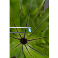 1.75 Ct. Emerald from Russia Life Style