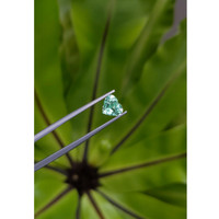 1.13 Ct. Emerald from Russia Life Style