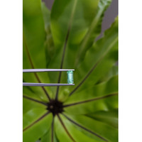 1.09 Ct. Emerald from Russia Life Style