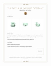 1.02 Ct. Emerald from Russia Appraisal