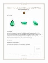0.62 Ct. Emerald from Zambia Appraisal