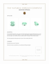 1.06 Ct. Emerald from Russia Appraisal