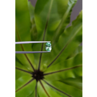 1.58 Ct. Emerald from Russia Life Style