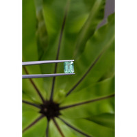 1.58 Ct. Emerald from Russia Life Style