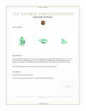 1.93 Ct. Emerald from Russia Appraisal