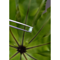 1.00 Ct. Emerald from Russia Life Style