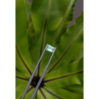 1.31 Ct. Emerald from Russia Life Style