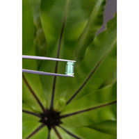 1.69 Ct. Emerald from Russia Life Style