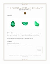 0.60 Ct. Emerald from Zambia Appraisal