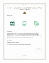 3.17 Ct. Emerald from Russia Appraisal