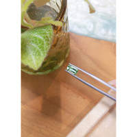 1.49 Ct. Emerald from Russia Life Style