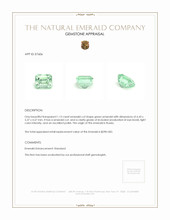 1.13 Ct. Emerald from Russia Appraisal