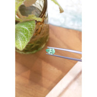 1.09 Ct. Emerald from Russia Life Style