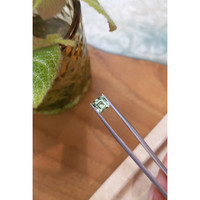 1.46 Ct. Emerald from Russia Life Style