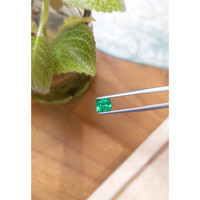 1.33 Ct. Emerald from Russia Life Style