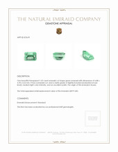 1.02 Ct. Emerald from Russia Appraisal
