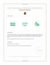 1.06 Ct. Emerald from Russia Appraisal