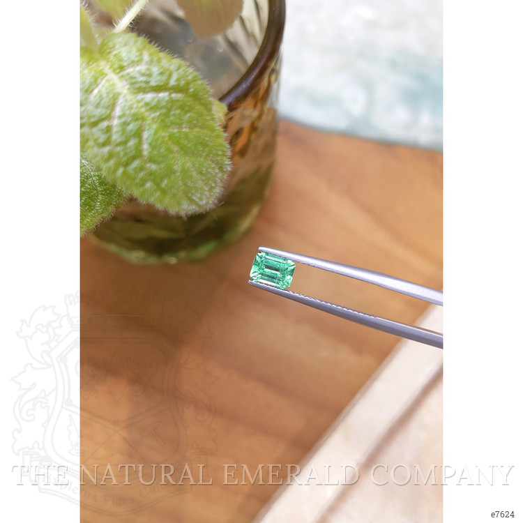 1.07 Ct. Emerald from Russia