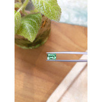 1.41 Ct. Emerald from Russia Life Style