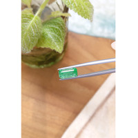 2.69 Ct. Emerald from Russia Life Style