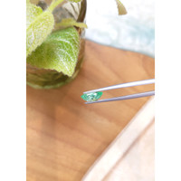 1.16 Ct. Emerald from Russia Life Style