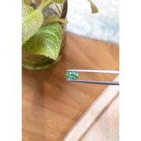 1.02 Ct. Emerald from Russia Life Style