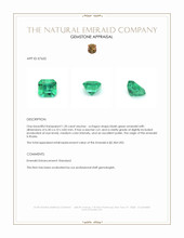 1.20 Ct. Emerald from Russia Appraisal