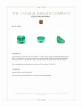 1.20 Ct. Emerald from Russia Appraisal