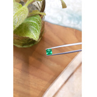 1.20 Ct. Emerald from Russia Life Style