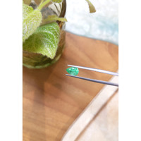 1.31 Ct. Emerald from Russia Life Style