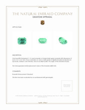 1.15 Ct. Emerald from Russia Appraisal