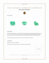 1.23 Ct. Emerald from Russia Appraisal