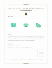 1.36 Ct. Emerald from Russia Appraisal