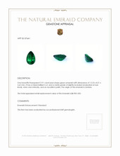 2.91 Ct. Emerald from Zambia Appraisal