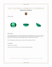 3.95 Ct. Emerald from Zambia Appraisal