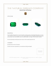 9.77 Ct. Emerald from Zambia Appraisal