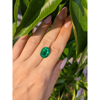 6.94 Ct. Emerald from Zambia Life Style