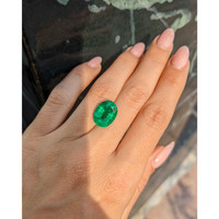 6.94 Ct. Emerald from Zambia Life Style