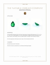 0.98 Ct. Emerald from Zambia Appraisal